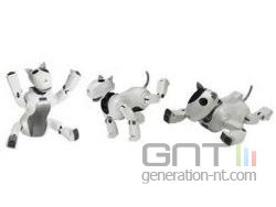 Robot Dasatech Genibo Robot Dasatech Genibo