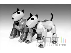 Robot Dasatech Genibo