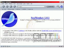 Interface  Navigateur moderne