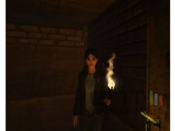 Dreamfall : The Longest Journey