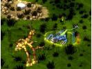 Spore