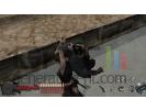 Tenchu Time of the Assassins