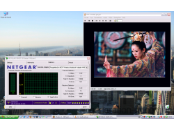 netgear streaming