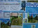 Harvest Moon Heroes - scan