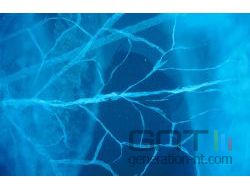 blue ice