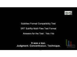 subtitle