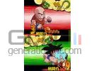 Dragon Ball Z : Shin Budokai Another Road