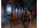 The Witcher - Image 10