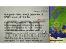 Nintendo Wii - Chaine Infos - Image 1