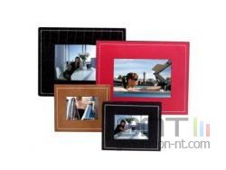 Parrot photo viewer