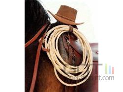 lasso