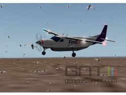 X-Plane oiseaux