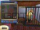 Horse Tycoon