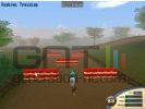 Horse Tycoon
