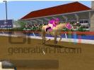 Horse Tycoon