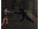 Tomb Raider Anniversary - Image 9