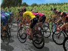 Pro Cycling Manager 2007 - img1