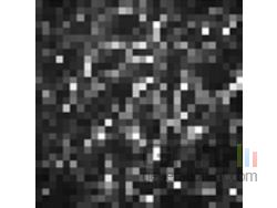 Capture Laser
