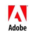 Adobe Flash Player pour Linux (120x90)