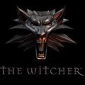 Test The Witcher