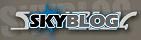 Logo Skyblog