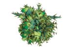 threat_virus2