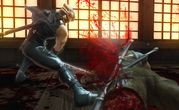 Ninja Gaiden II 1