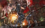 Ninja Gaiden II 3