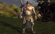Warhammer Online Age of Reckoning 5