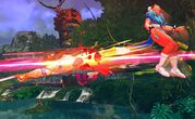 Street Fighter IV 11