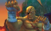 Street Fighter IV 8