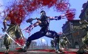 Ninja Gaiden II 3
