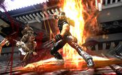 Ninja Gaiden II 5