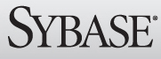 Sybase logo