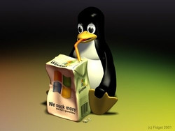 Linux contre Windows