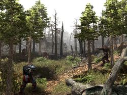 Gothic 3 - Image 7