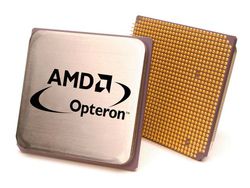 Amd opteron