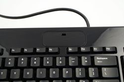 Tarantula Razer 6