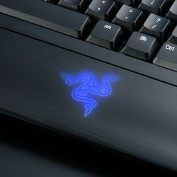 tarantula_logo