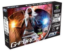 PNY GeForce 8500 GT