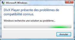 recherche solution DivX