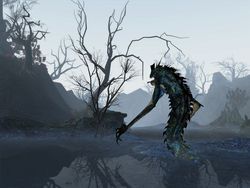 Age of Conan Frost Wamps (2)