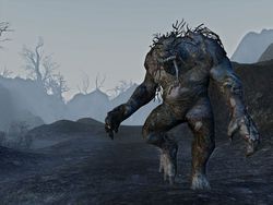 Age of Conan Frost Wamps (3)