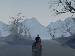 Age of Conan Frost Wamps (4)