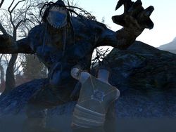 Age of Conan Frost Wamps (5)