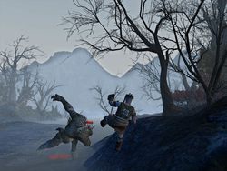 Age of Conan Frost Wamps