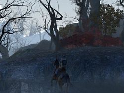Age of Conan Frost Wamps (1)