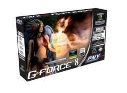 PNY GeForce 8400 GS