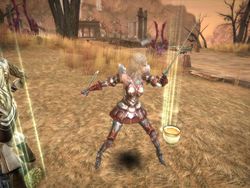 Sword of the new world (7)