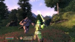 Test Oblivion Elder scrolls IV Oblivion image (1)